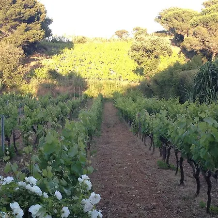 Domaine De La Presqu'ile Hyères